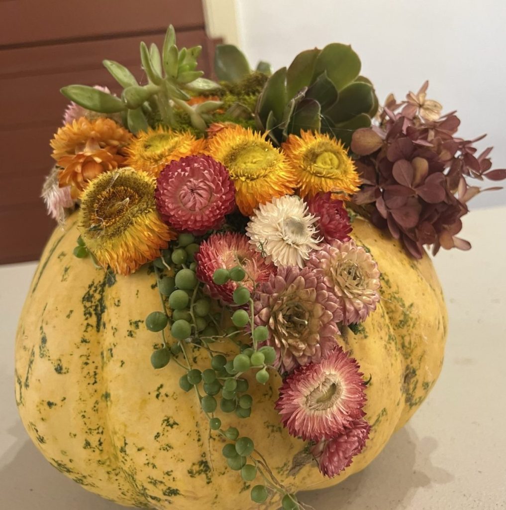 How to Make Succulent Pumpkin Creations for Fall